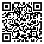 荣耀先锋（沉默无限刀）