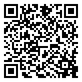 过山车大亨:梦想