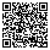 悠悠追书小说大全