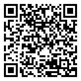 王者荣耀永久皮肤辅助器