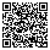 Triplens拍照翻译2022版