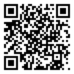 我叫MT奇幻之旅疯狂版