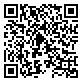 守卫最后的罗马