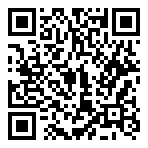 女神的斗士（飞升特权）