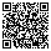 战机之翼：天空入侵者