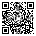 四大名捕之震关东