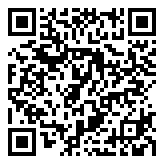 过山车大亨:梦想