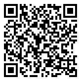 贼猫-探宝灵州塔VR