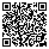 魔秀桌面专业版