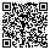 金山词霸绿色版