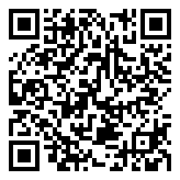 有道翻译官电脑版