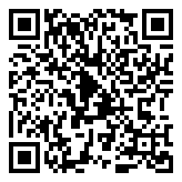 PP谷歌访问助手