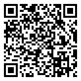 seetong电脑客户端