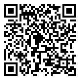 teorex inpaint破解版