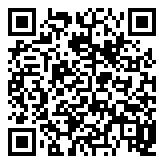 小飞机英语免费2021版