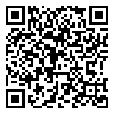 凯立德导航车镜版