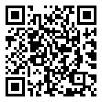 天使之剑海量版